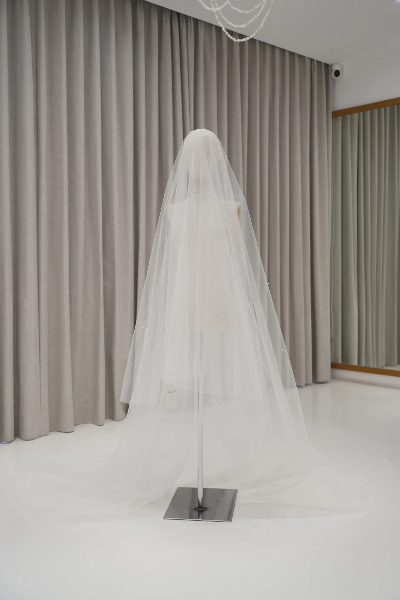 Veil 09