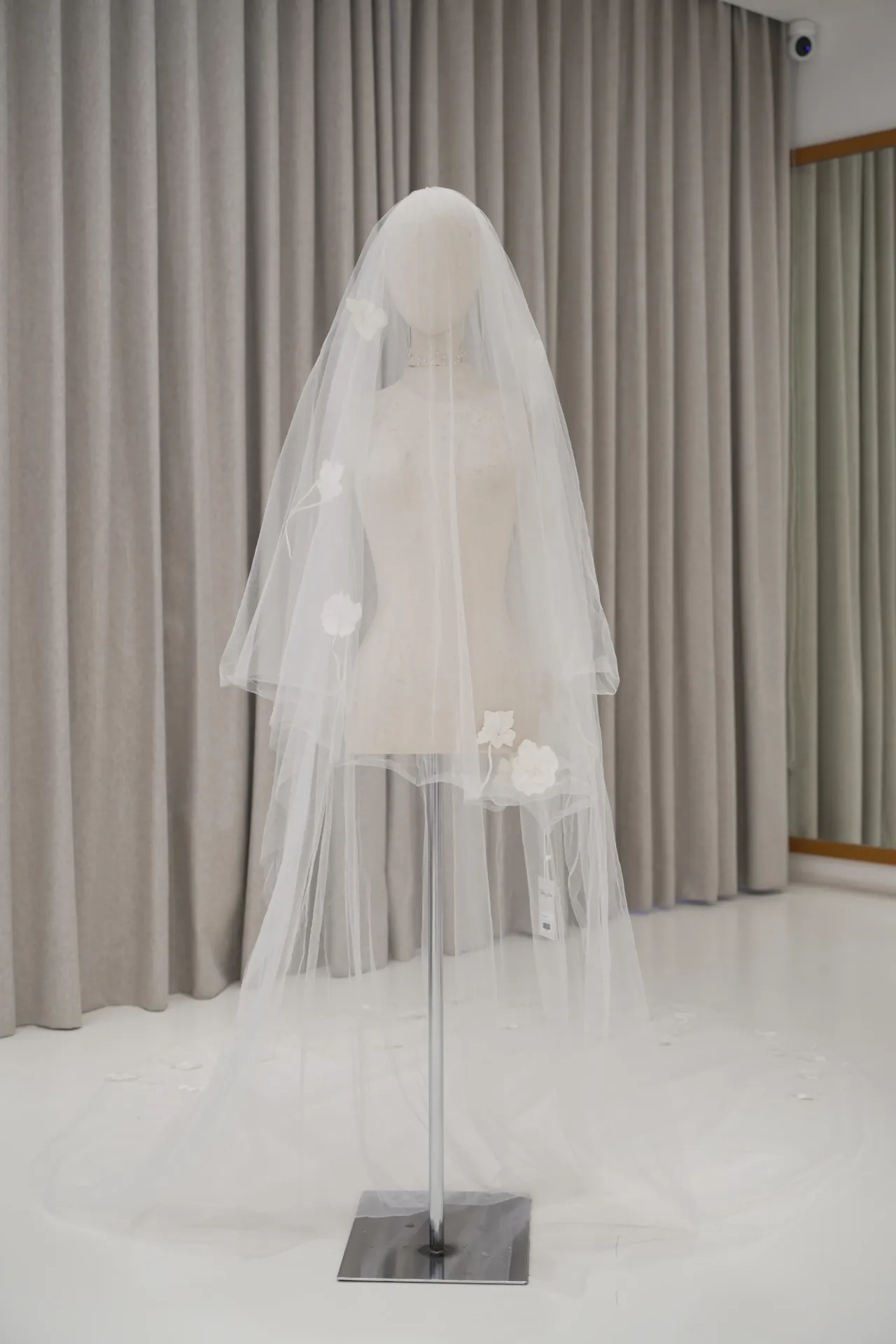 Veil 11